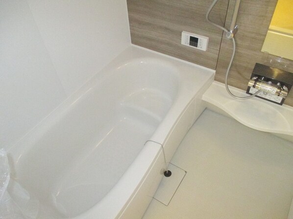 セレーナの物件内観写真